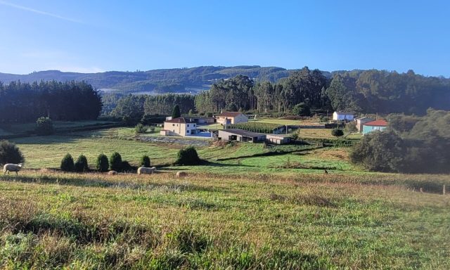 Finca Os Patelos