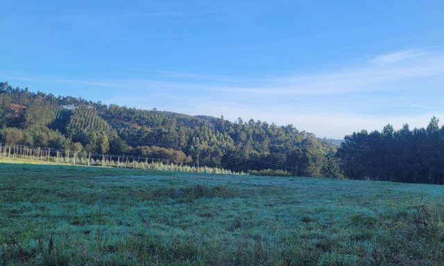 Finca Os Quintos